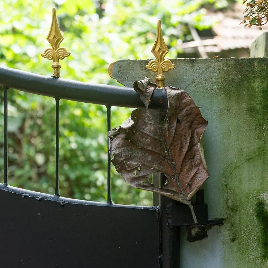 Homestay Soul Home Stay Varkala India