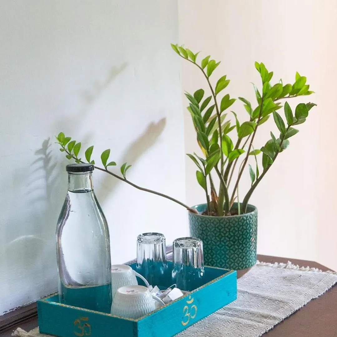 Soul Home Stay Varkala
